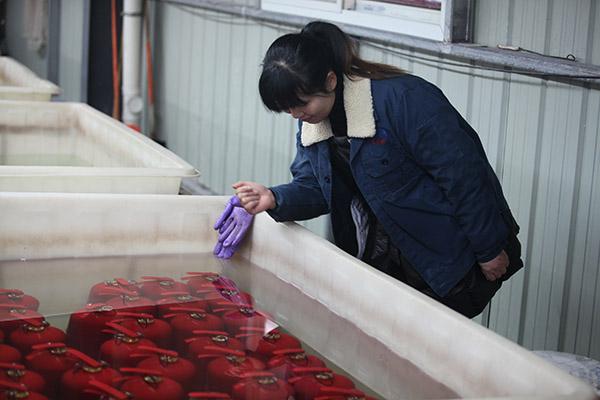 SAFEWAY DC01 Abc 6kg طفاية حريق CE المعتمدة باللون الأحمر سهلة الاستخدام 10